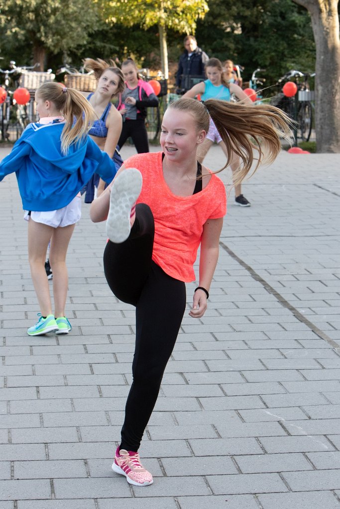 Schoolplein Festival A201.jpg